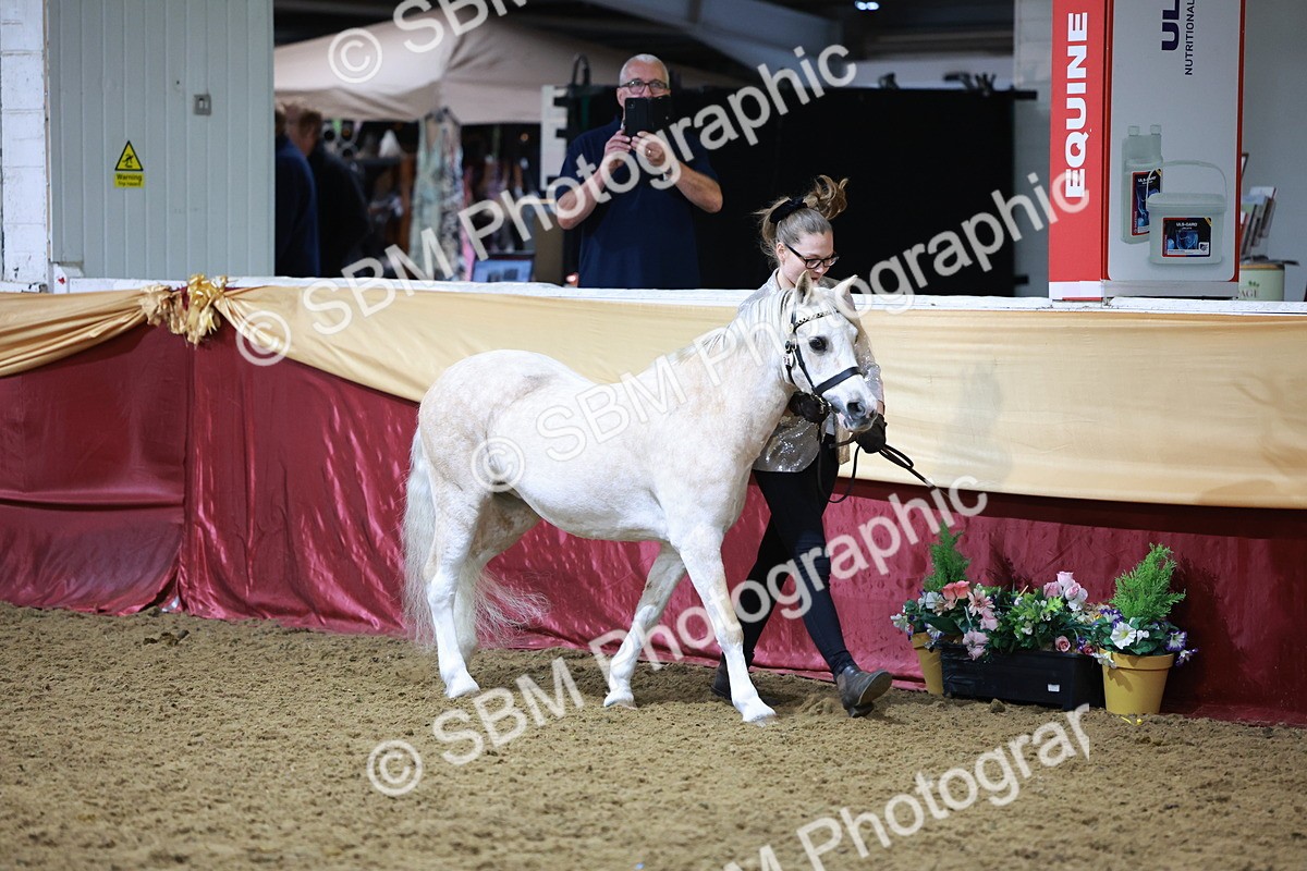 SBM_20410 - Class F - IH Small (148cm & Under)Champ