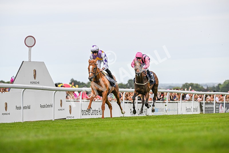140824-Race 2-Stanhope Gardens-3486 - Race 2