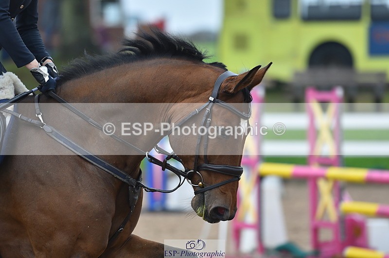 230916A-102934-03419 - Cls 21 British Novice & 90cm Open