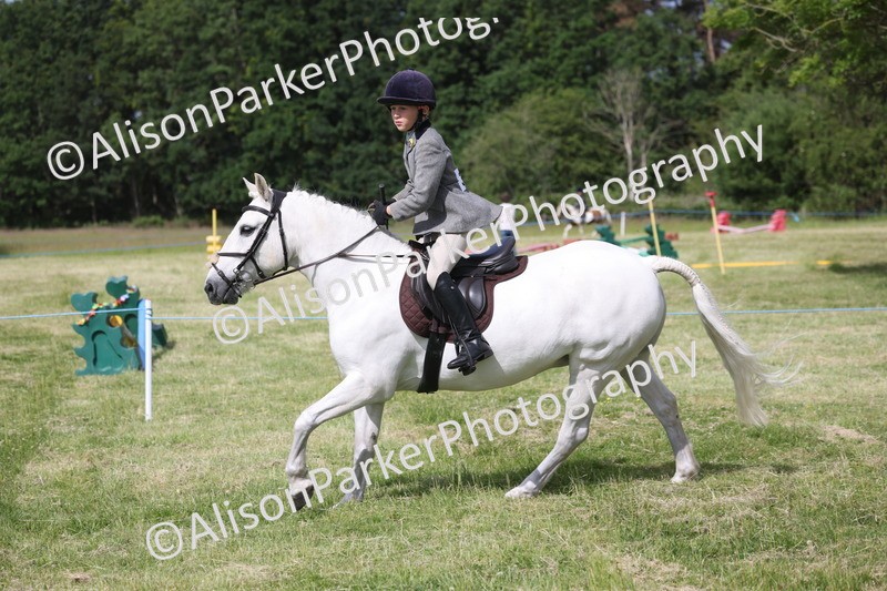 20260614-0549 - Class 20 - Beginners Working Hunter Pony