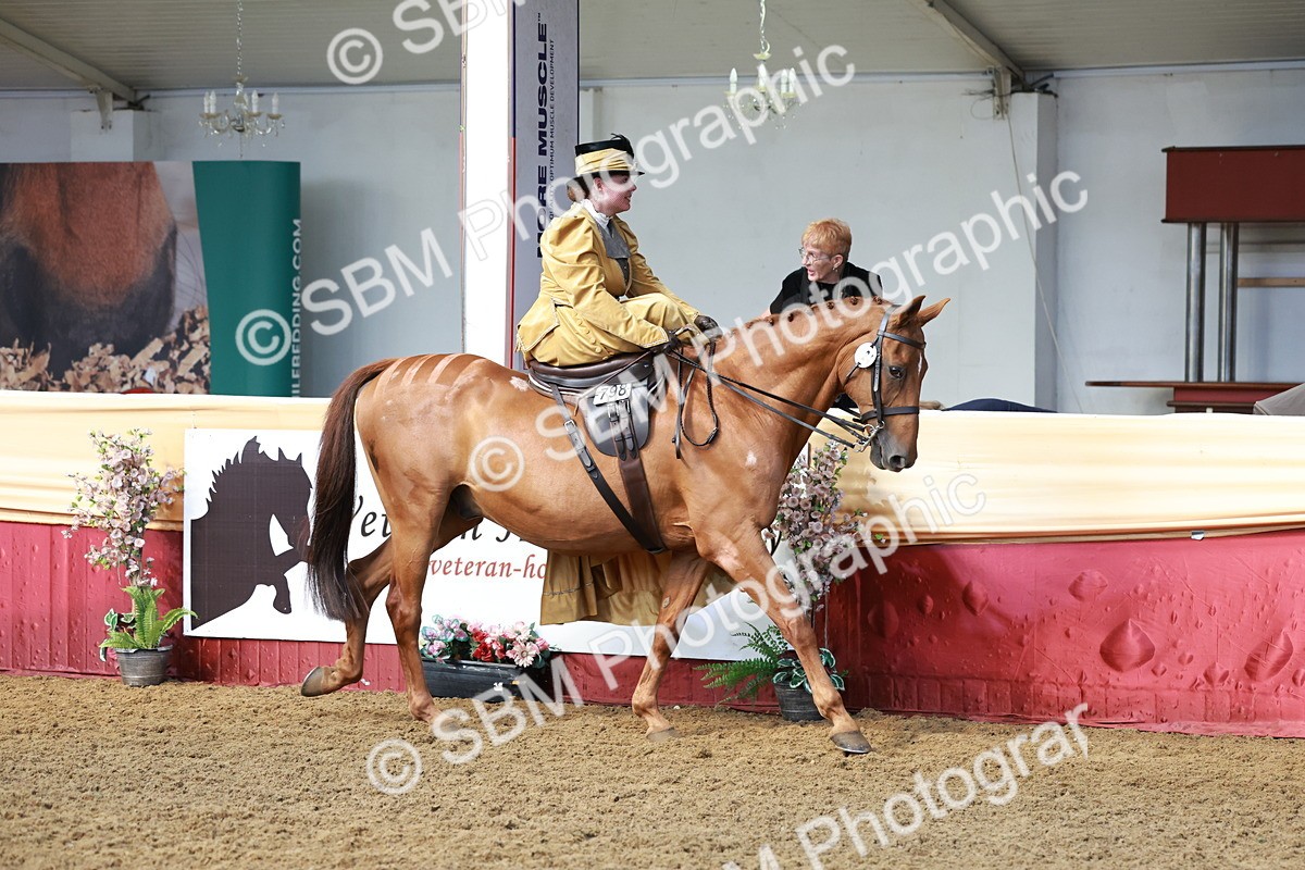 SBM_13531 - Class 105 - Ridden Costume - Side Saddle