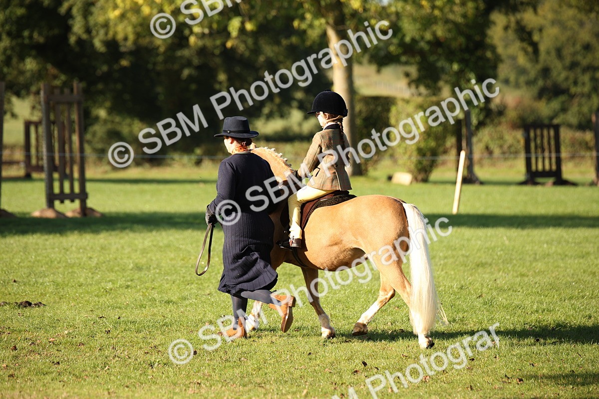 SBM_34224 - S9 - Lead Rein Equitation