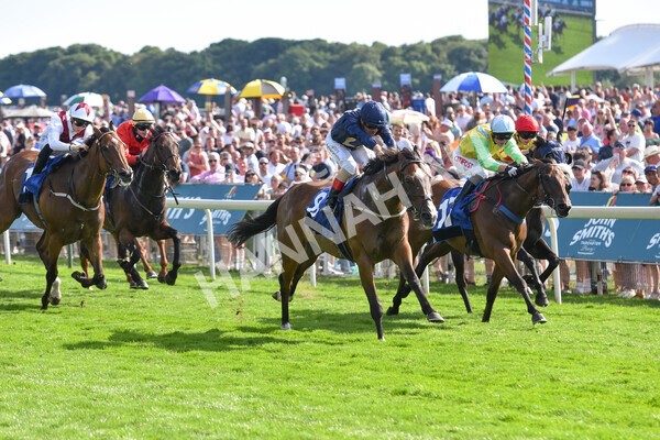 yr09072022r7-26 - Race 7 5.15pm John Smith's Sprint Stakes