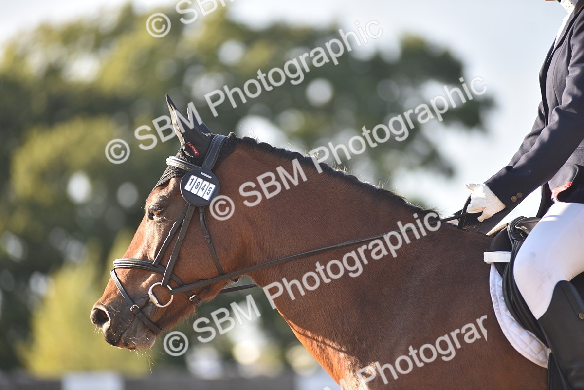 SBM_53461 - D24 - Junior Championship Prelim 3