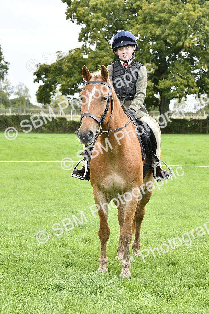 SBM_41621 - S32 - Mountain & Moorland Working Hunter Pony