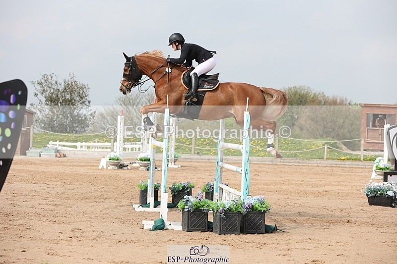 250424-110413-03371 - Cls 33 Young Horse 7yr old