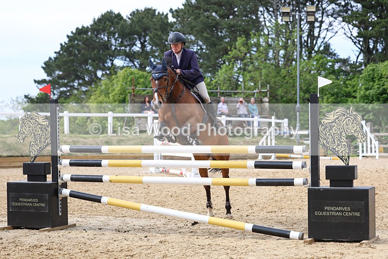 3E7A7784 - Class 8: Senior Foxhunter/1.20 open