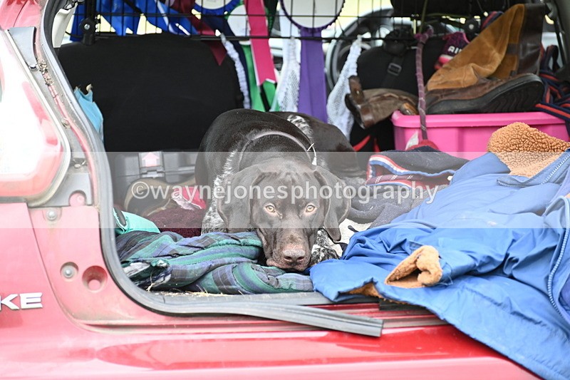 WJ6_4194 - Time at Jump 12:22 to 13:03