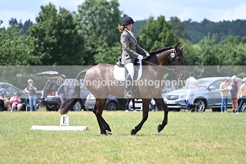 WJ7_4872 - Time 11:22 to 11:51