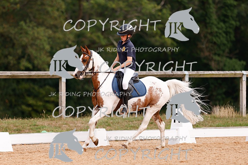 _R6A2627 - Dressage Morning