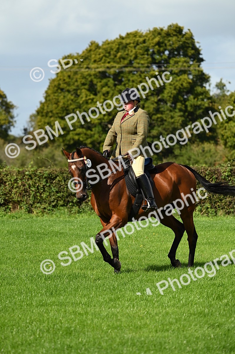 SBM_01663 - S2 - TSR Ridden Horse Showing