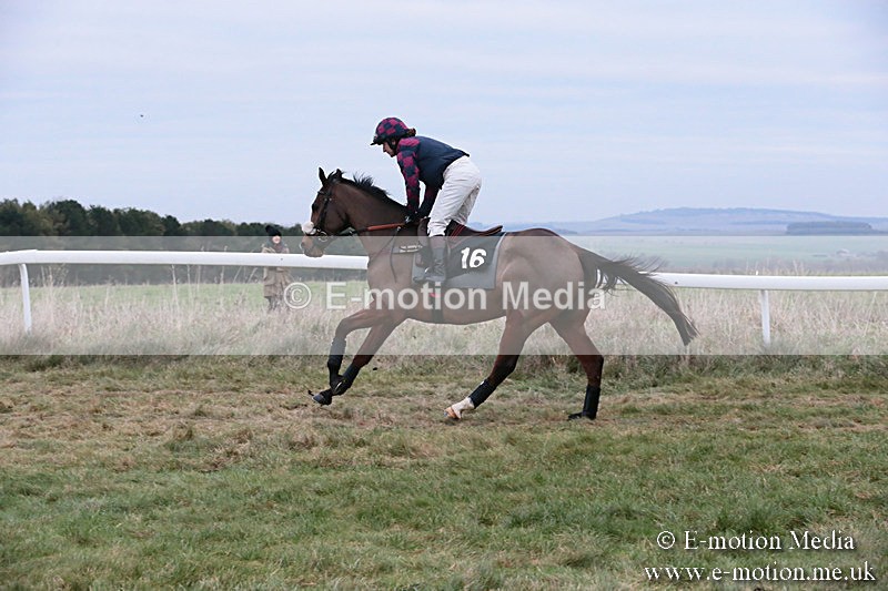 PtP 060119 546 - Larkhill Racing Club - Point-to-Point- 06/01/2019
