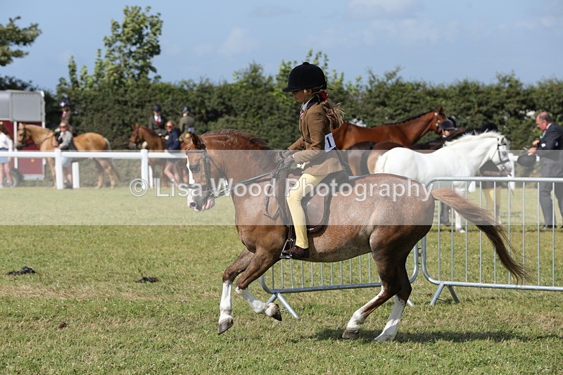 1X9A5780 - Class 40: NPS Welsh A & B