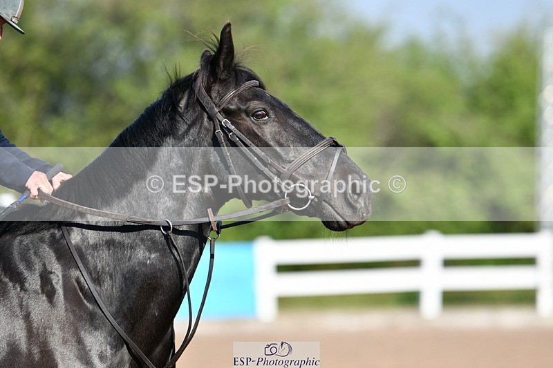 240512A-084906-16979 - Cls 39 British Novice and 90cm Open