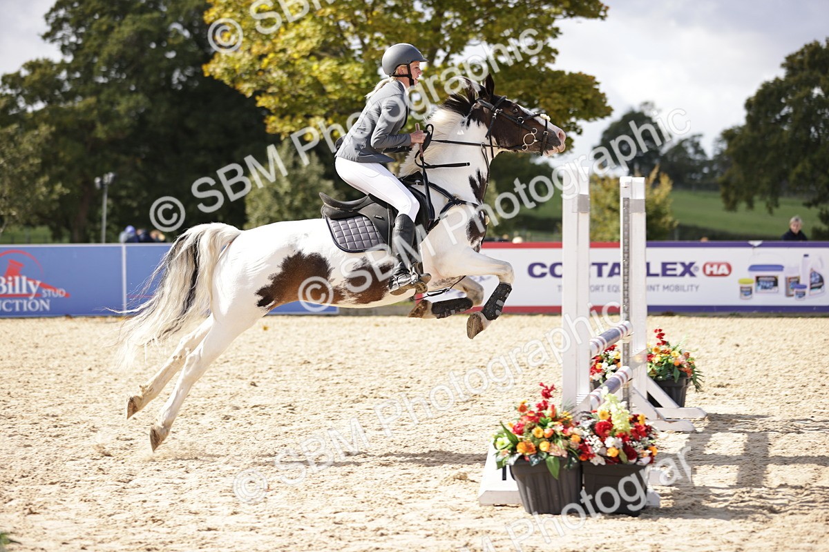 SBM_18471 - Supreme Championship
