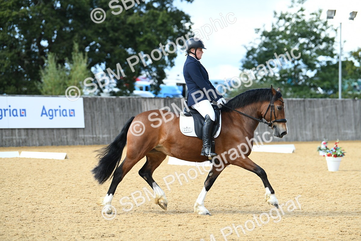 SBM_07436 - D15 Small Tour Championship Novice 24
