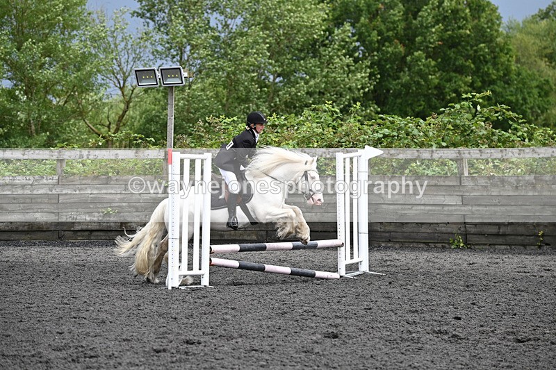 WJ6_0271 - Class 13 Novice 60cm