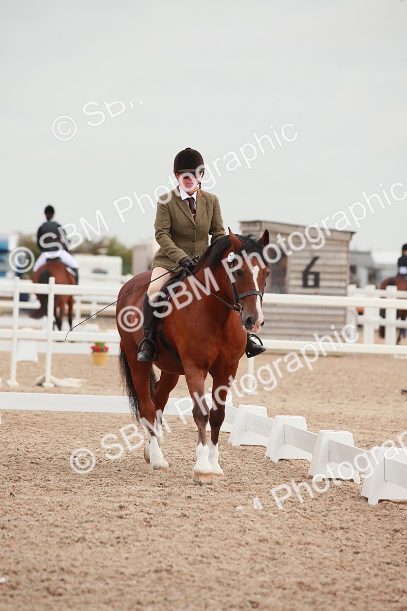 SBM_00819 - Class 30 - Intro 1