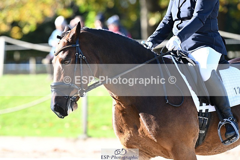 231110-110633-00308 - Cls 2 Prelim 17(a)Q