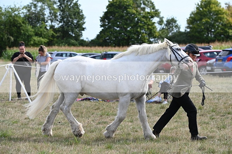 WJ6_6610 - Class 20 In-hand Cob