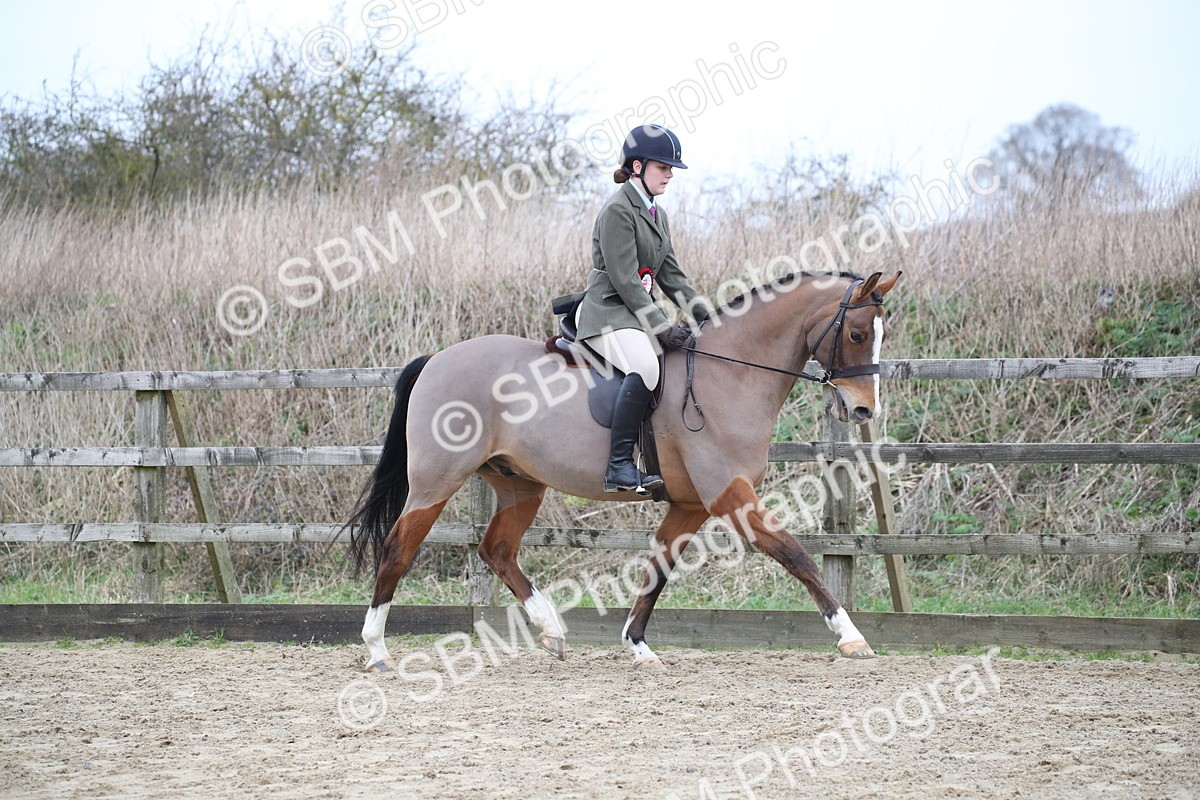 SBM_004787 - Class 5-9 - NPS In Hand-Show Hunter-Intermediate Ridden Inc Ridden Championship