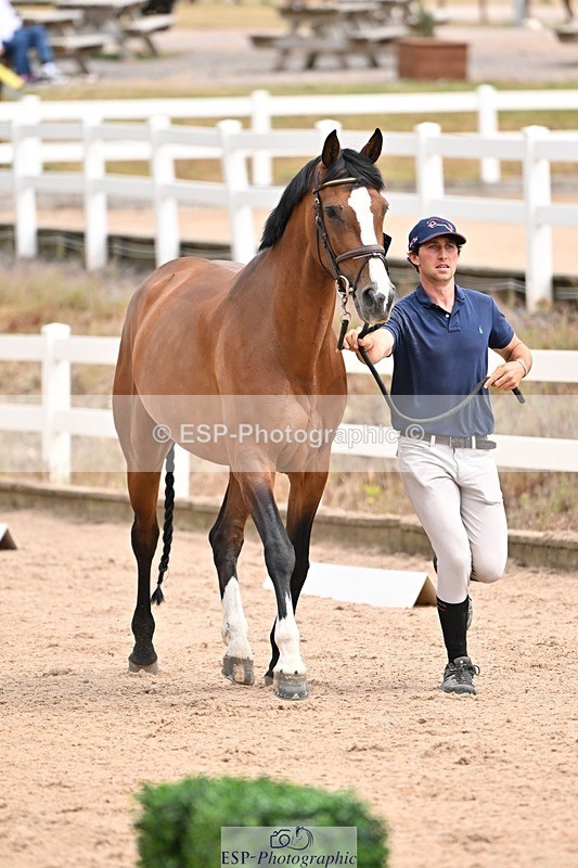 250716-150830-01669 - Trot Up 2.30 to 3.30