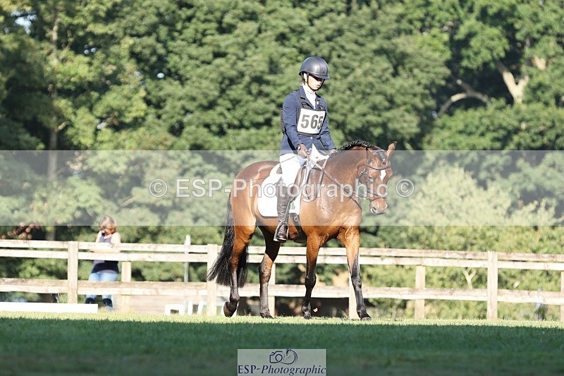 250823A-085840-25812 - Arena D