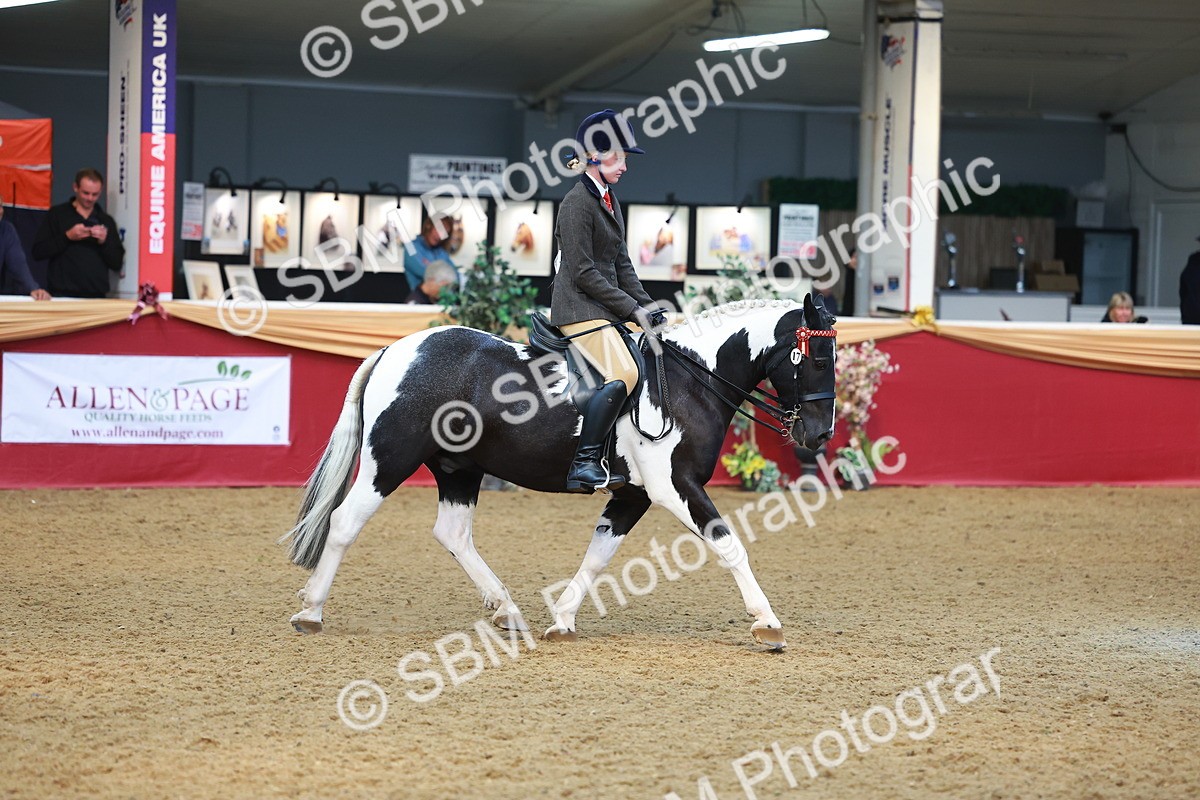 SBM_10683 - Class 103 - HOYS Veteran Qualifier - Ridden Pre Vet