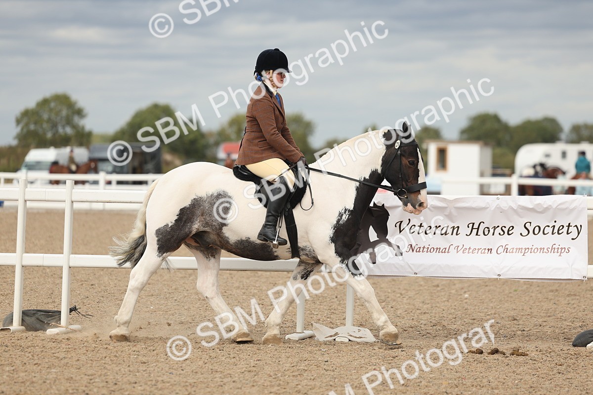 SBM_17986 - Class 314 - Family Horse Pony