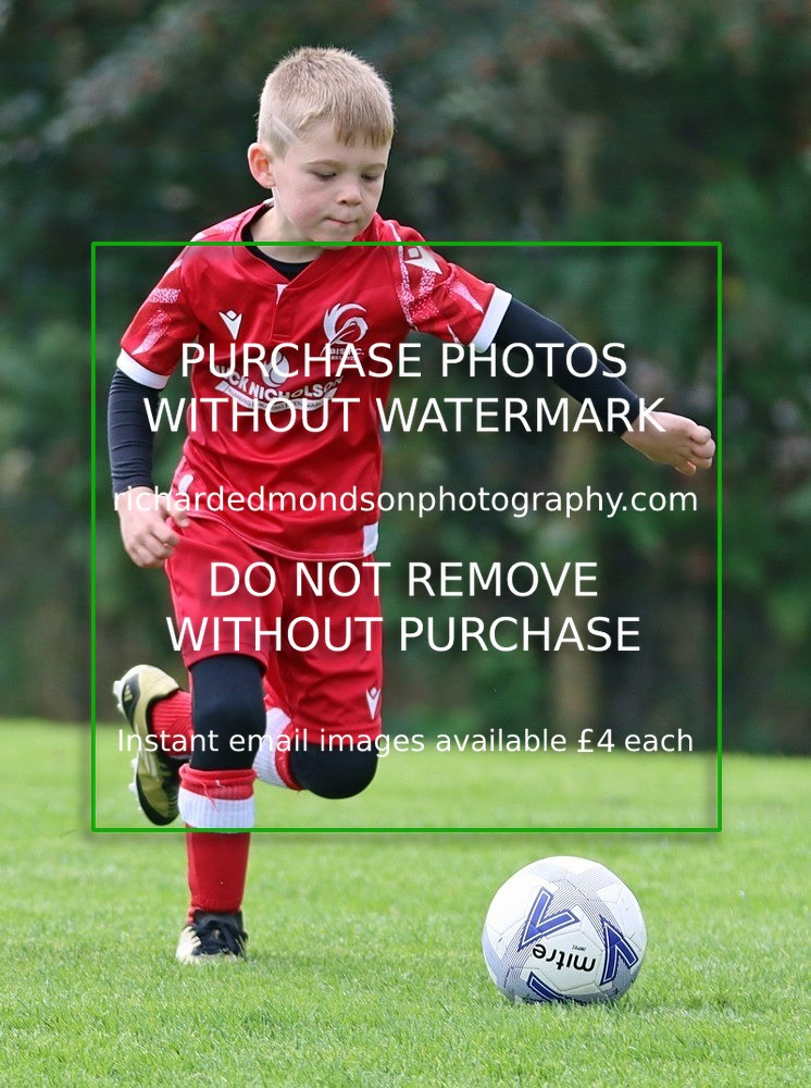 IMG_5254 - Wattsfield Under 8 vs Ibis Under 8 (12/10/24)