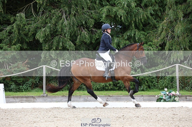 230812-142928-04433 - Cls 5 Novice Bronze 13.40 to 14.45 break