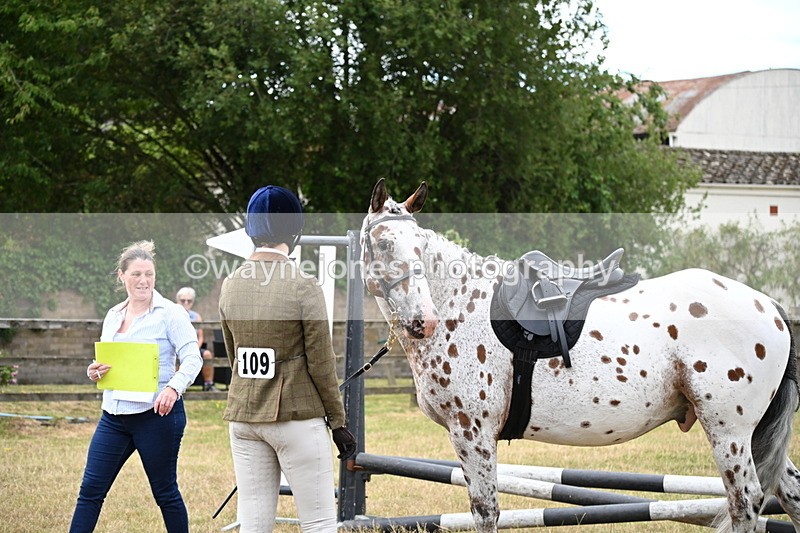 WJ6_3839 - Class 9 Tack & Turnout