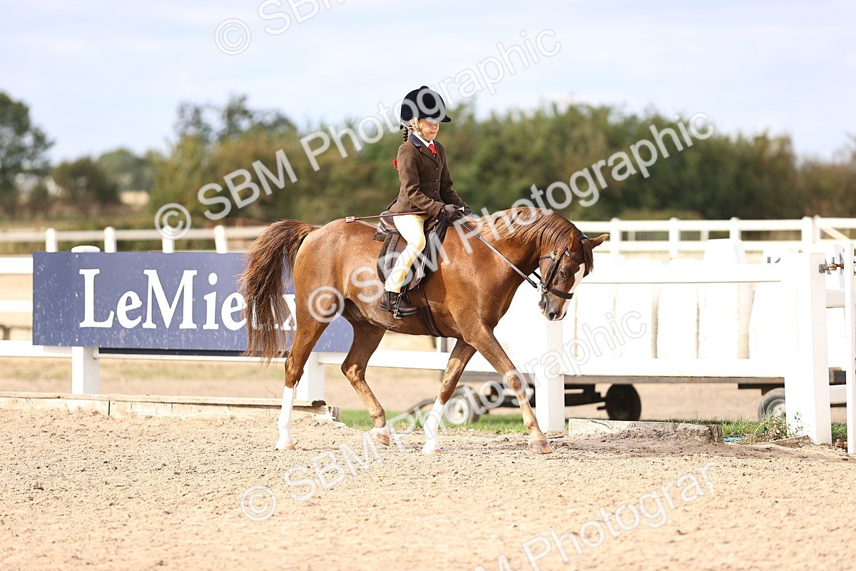 SBM_18008 - Class 422 - Equitation (Best Rider) Jnr