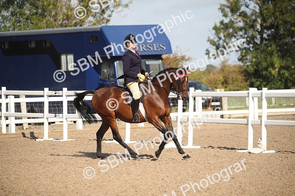 SBM_22778 - Class 602 - 2026 Area - Ridden Veteran