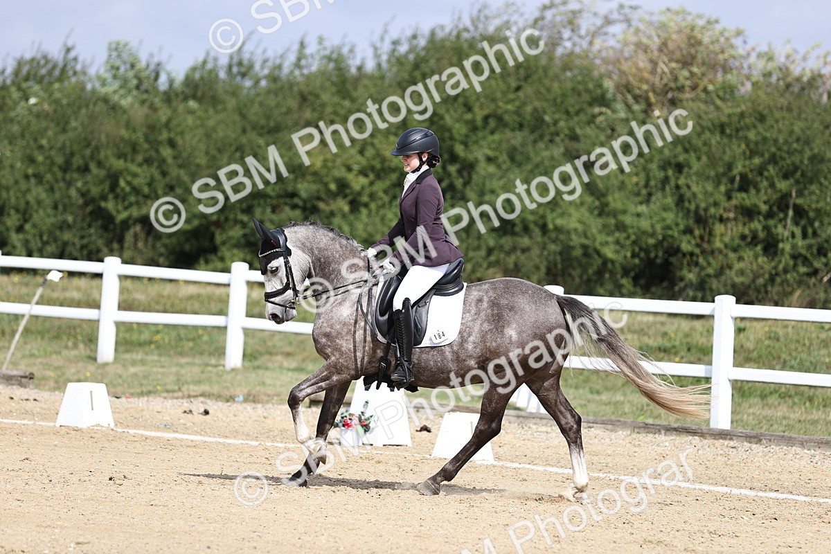 SBM_016256 - Class 14 - Novice 23 - 10.29-11.32