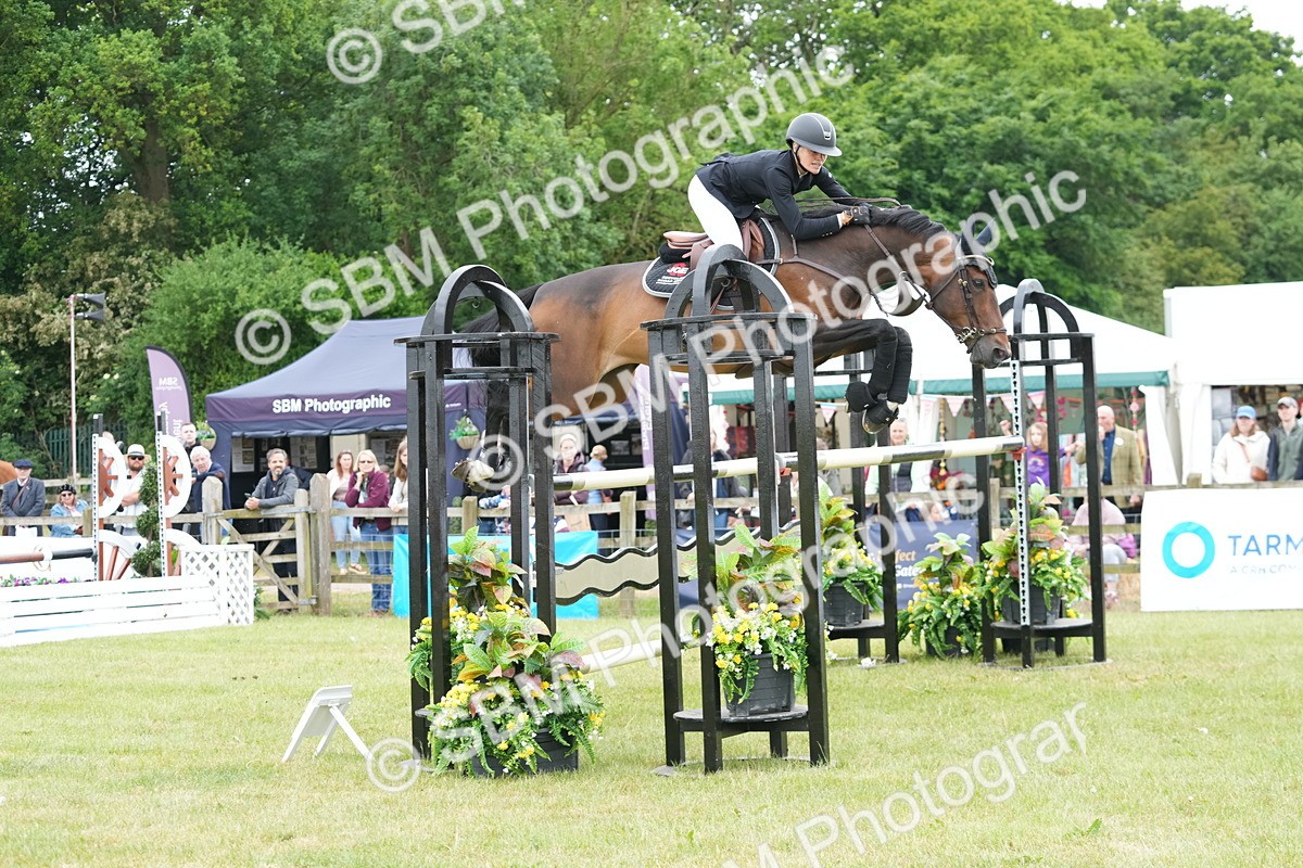 SBM_05206 - Class 201 - British Horse Feeds Speedi Beet Horse of the Year Show Grade  C