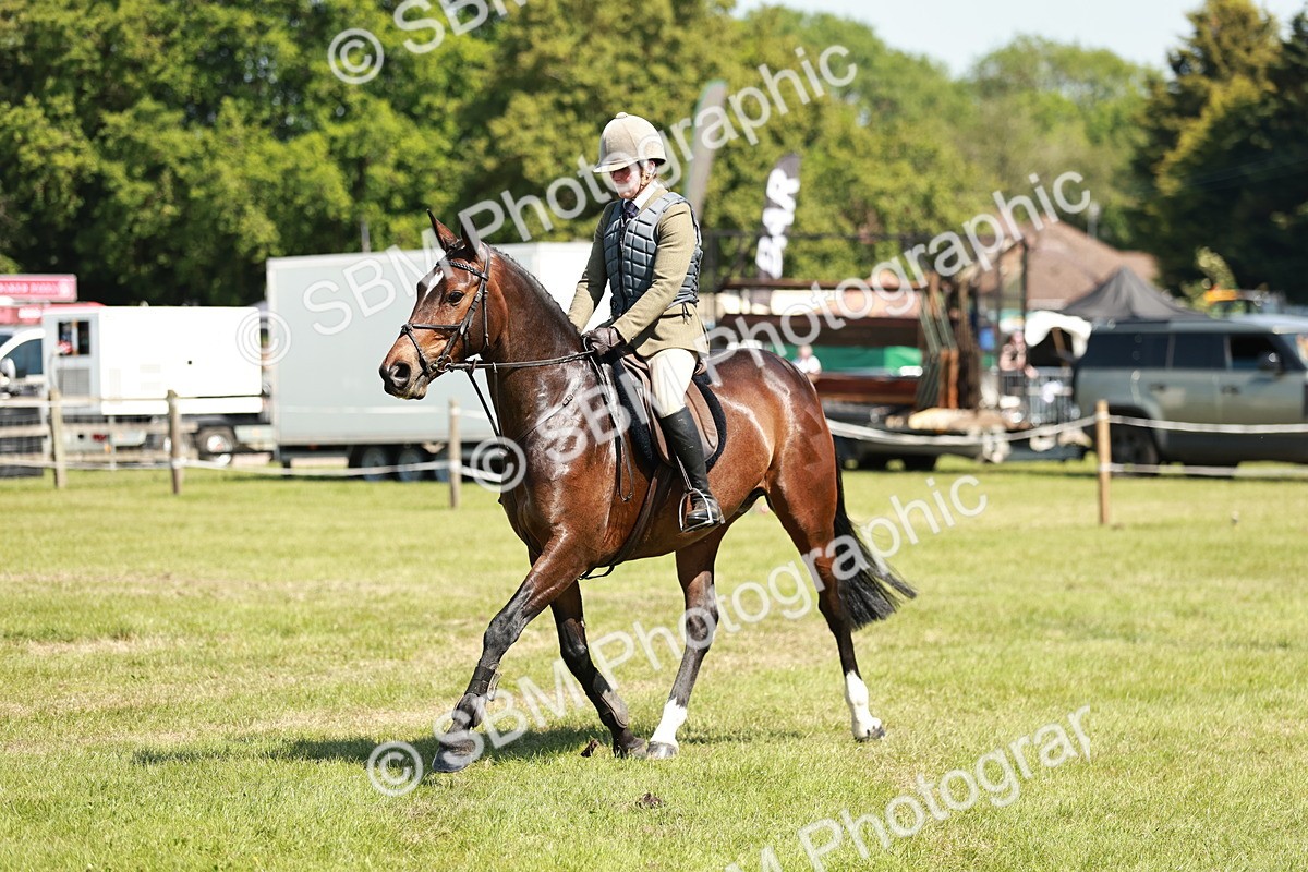 SBM_18340 - Class 112-113 - BSPS LIHS Working Sports Pony
