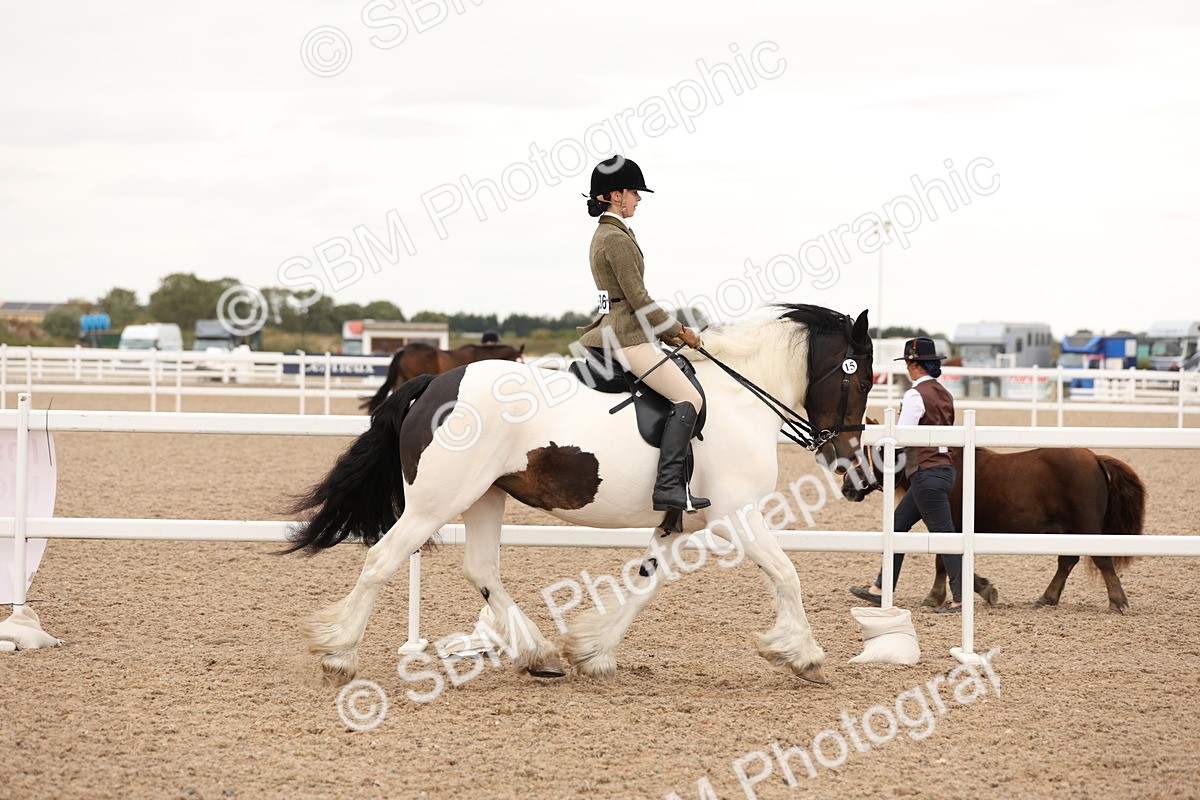 SBM_19644 - Class 216 - Ridden Traditional - Native Cob