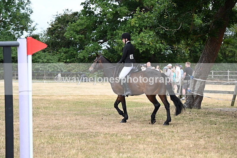 WJ6_3959 - Class 9 Tack & Turnout
