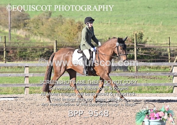 BPP_9548 - SHORT ARENA