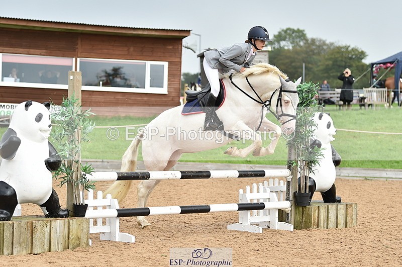 230902A-112444-00704 - Cls 2B Pony Small 80cm