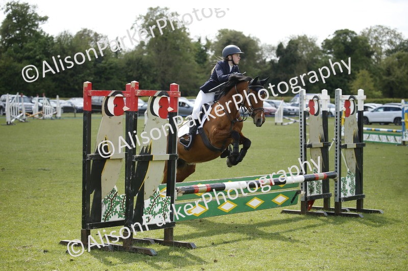 20250427-3774 - Class 14 - Absolute Novice 70cm
