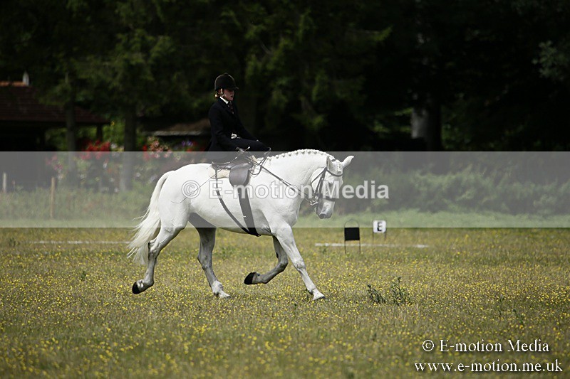 BVR160717-1600 - Side Saddle Classes 16/07/17