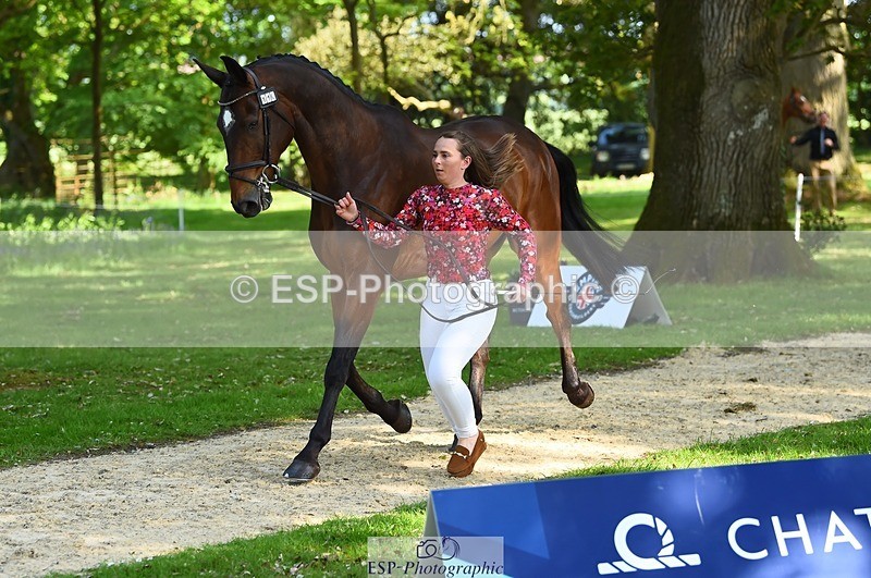 230524-164000-01010 - 110-SAM-Zoe_Boyles-WEDTrotUp+DR