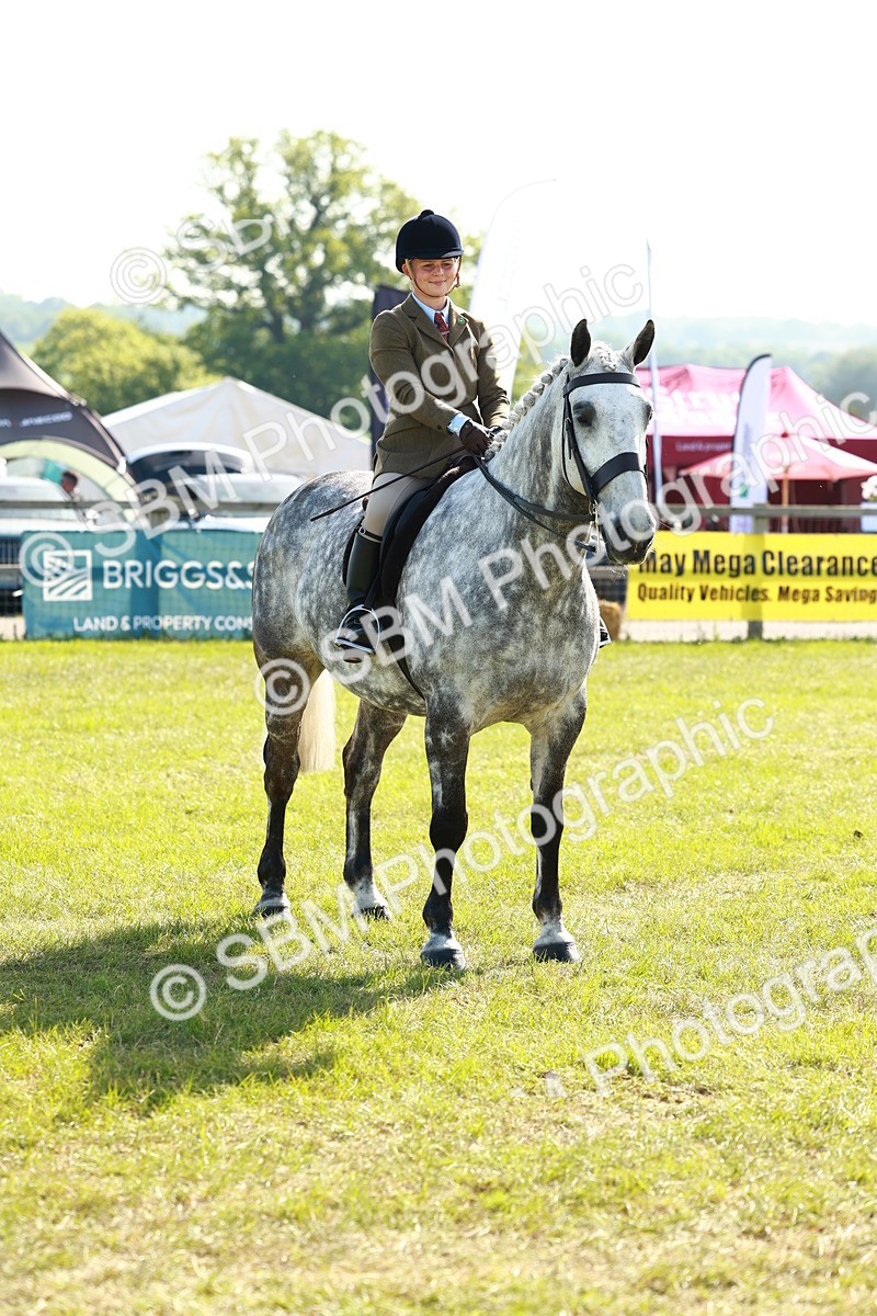SBM_11833 - Class 66-69 - RIHS Ridden Hunters Inc Small Hunter