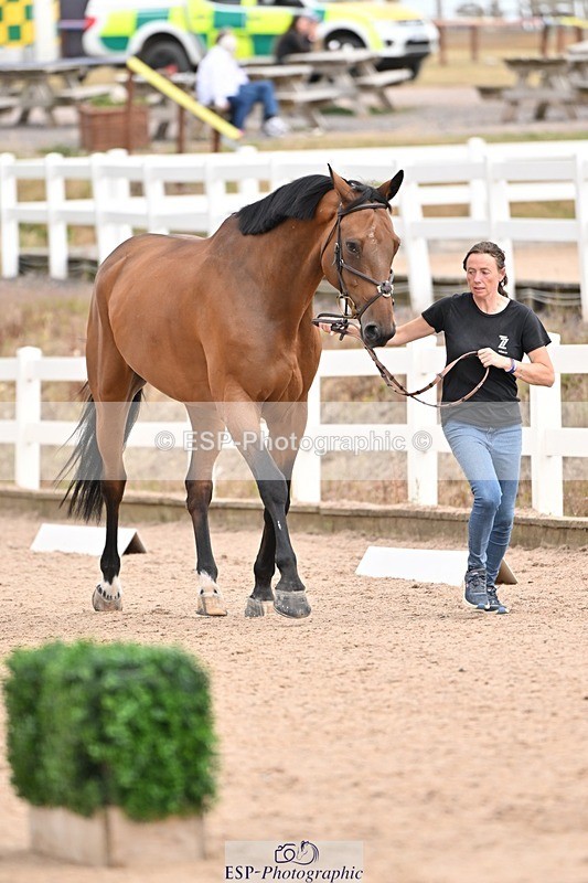 250716-150406-01611 - Trot Up 2.30 to 3.30