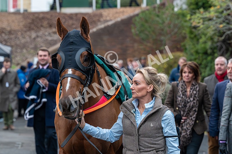 161125-Race 6-Lion City-1882 - Race 6