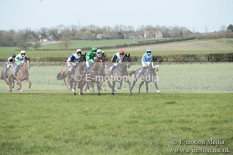 PtP 230319 417 - VWH Hunt Siddington Point-to-Point Racing 23/03/19