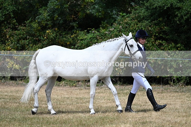 WJ7_1630 - Class 4 Prettiest Mare up to 14.2hh in hand