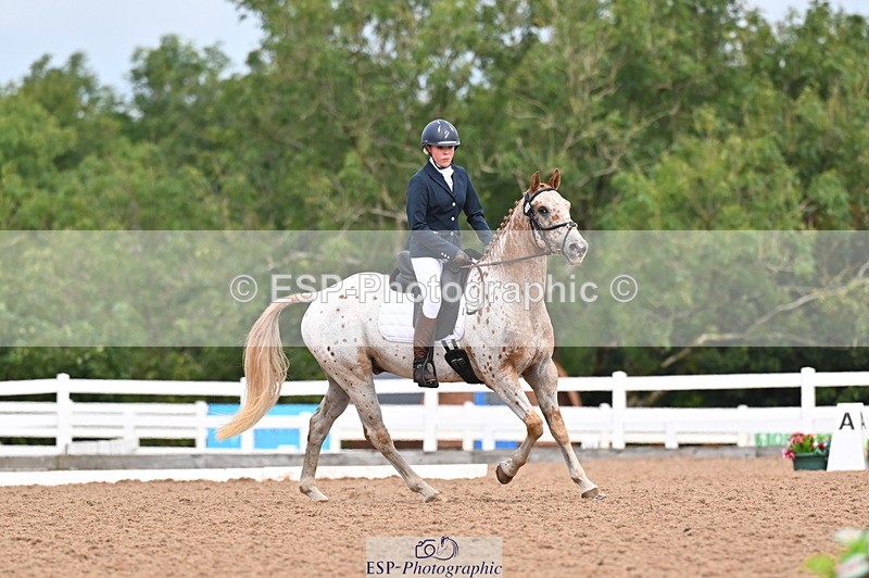 240817A-113721-08072 - 234-Pip.Stephens-Odd.spot.bright.eyes